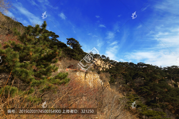 泰山風(fēng)光