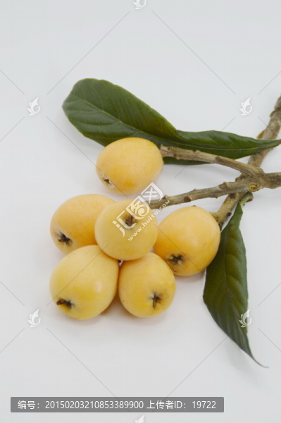 食品,枇杷果