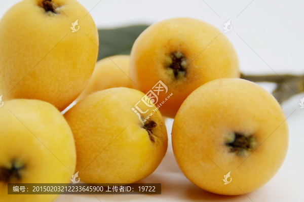 枇杷果