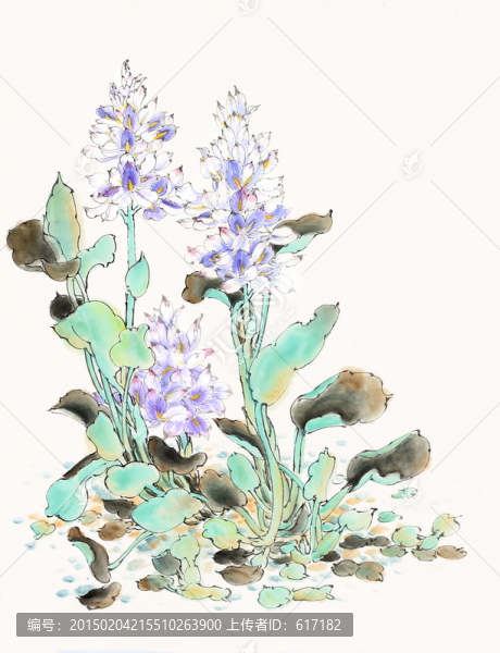 原創(chuàng),國畫,平凡之美,水浮蓮