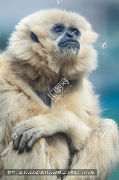 孤獨