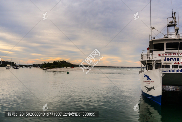 出海觀鯨