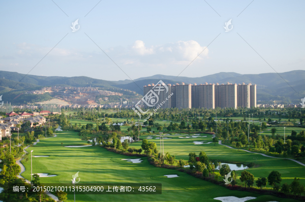 高爾夫球場,綠地