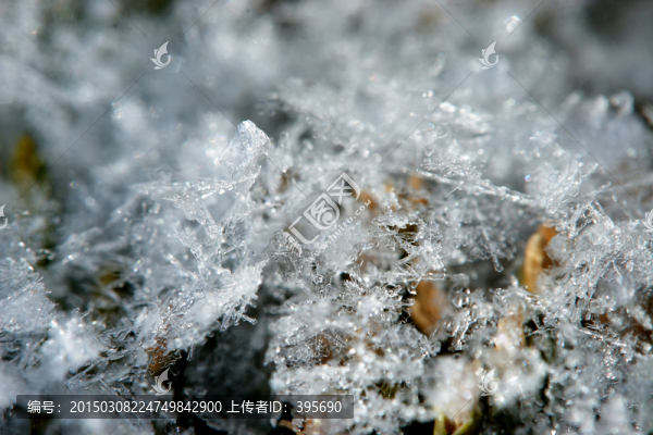 雪花特寫