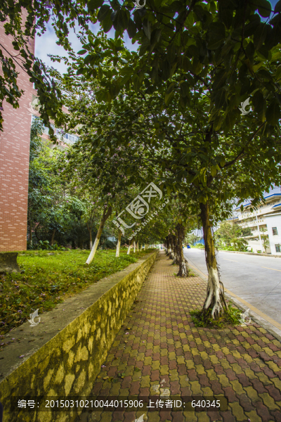 華南農(nóng)業(yè)大學(xué)校區(qū)