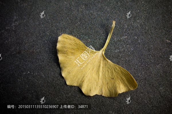 銀杏葉