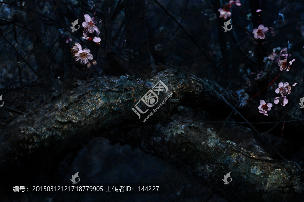 青梅