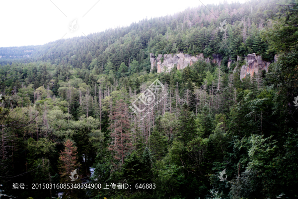 吉林,長(zhǎng)白山,河流,溪流