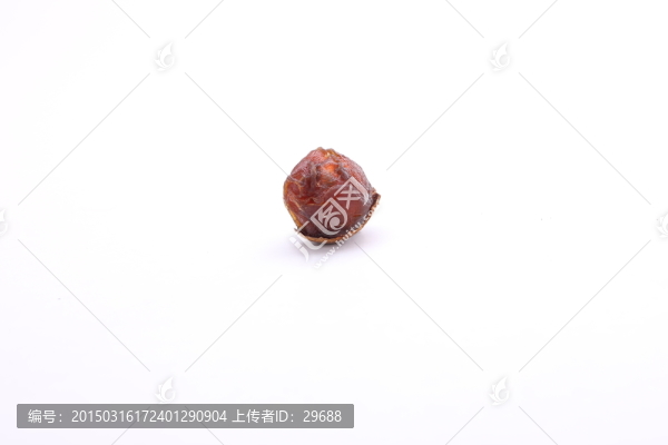 桂圓