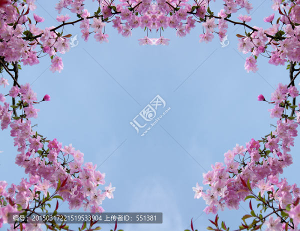 海棠花,花環(huán)