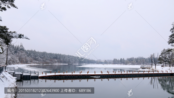 春天雪后的人工湖景色