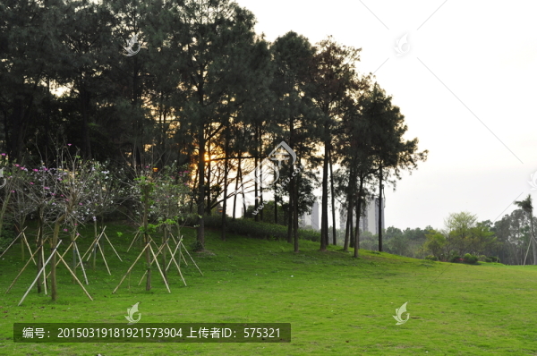 城市公園