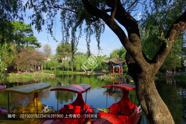 西華園風(fēng)光