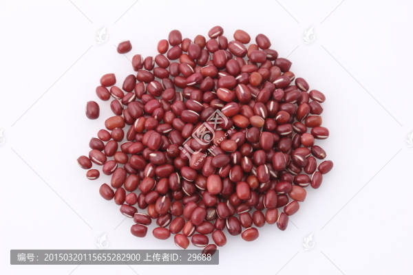 紅豆（高清圖）
