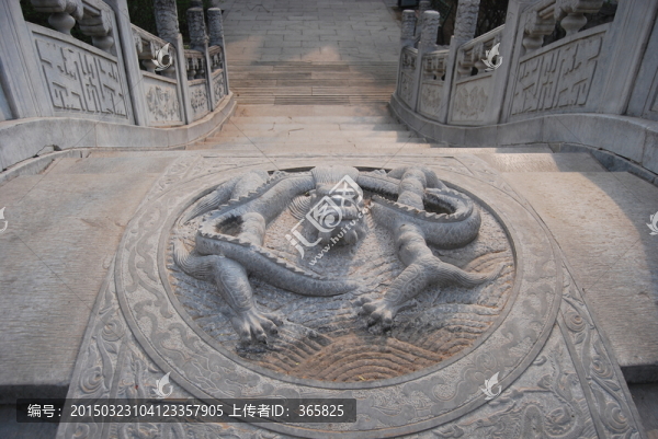 龍