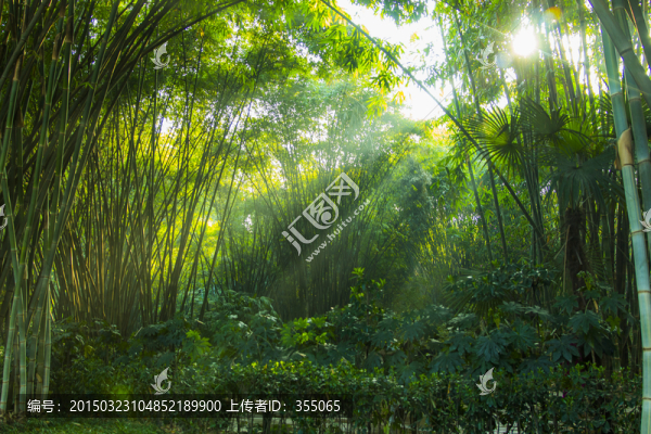 望江公園
