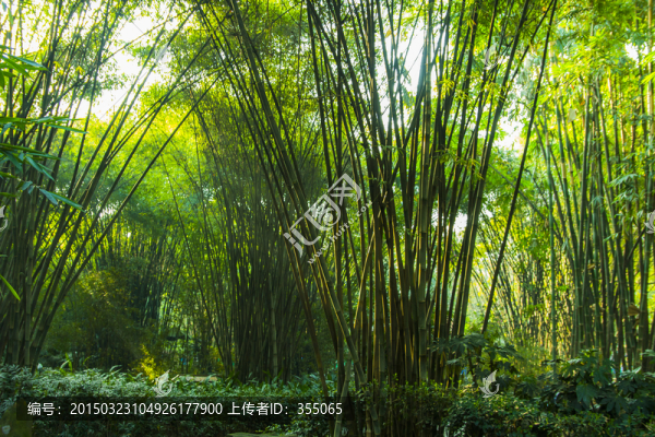 望江公園