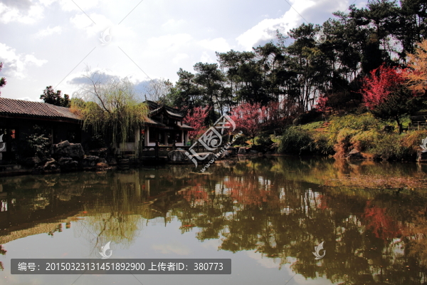 庭院