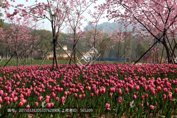 磨山風(fēng)景