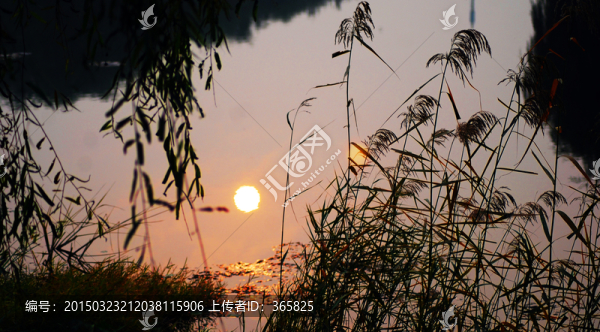 水中夕陽