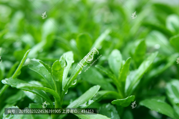 創(chuàng)意攝影