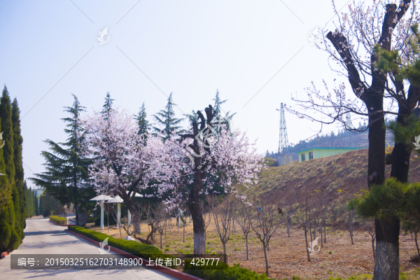 公園風(fēng)景