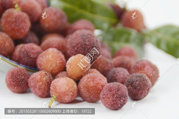 楊梅圖片