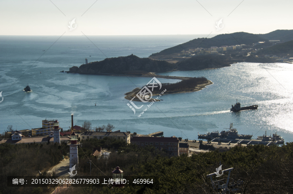 老虎尾