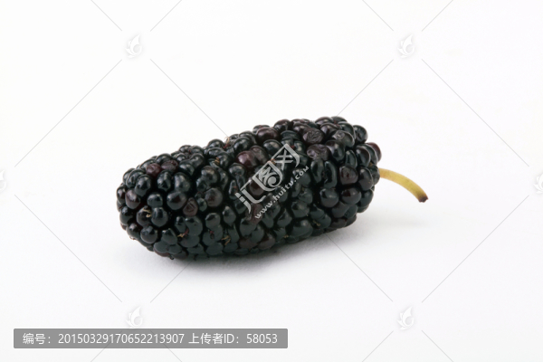 桑葚