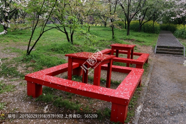 櫻花園風(fēng)景