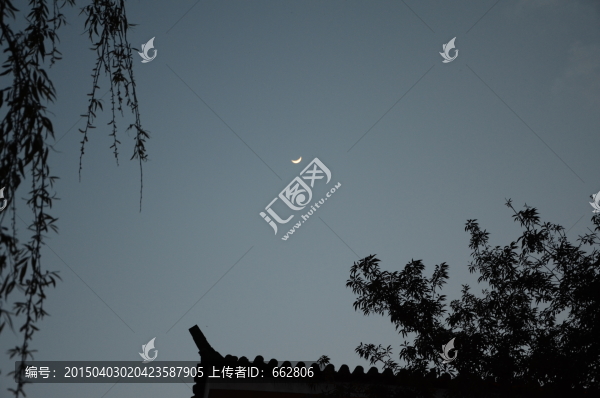 春天夜景