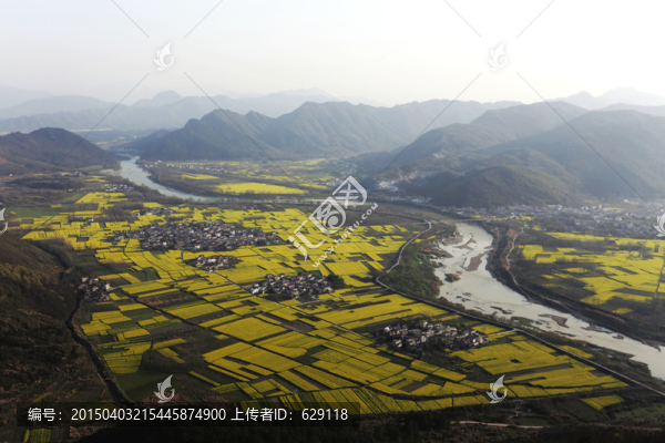 河流,油菜花