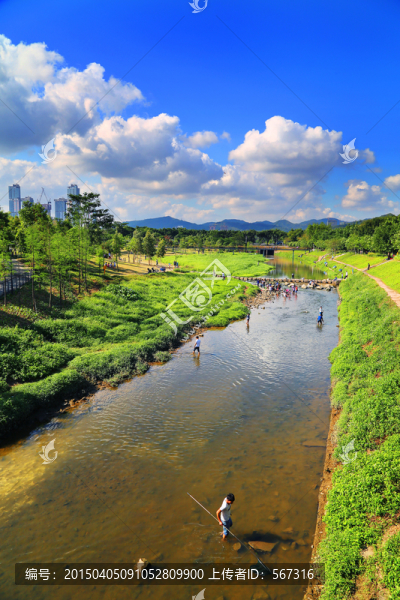 中心公園