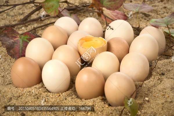 生態(tài)雞蛋