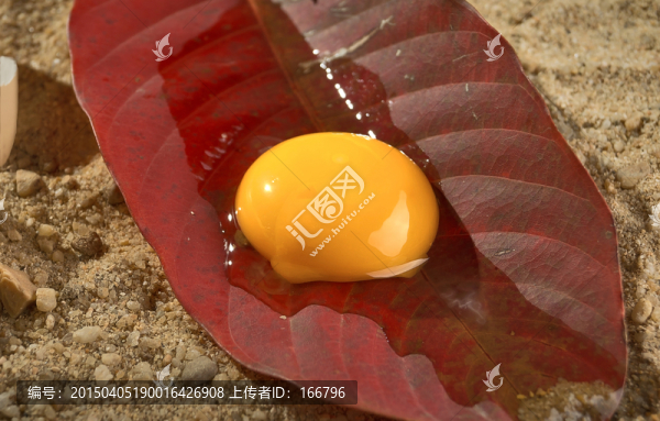 生態(tài)雞蛋