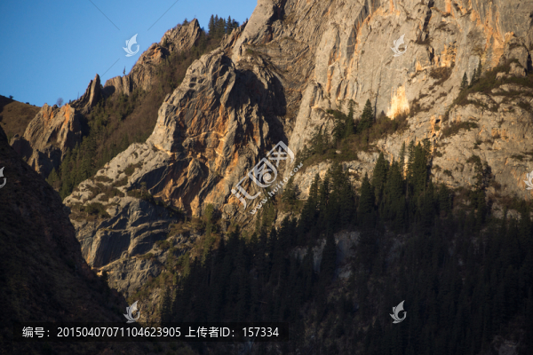 峽谷山林