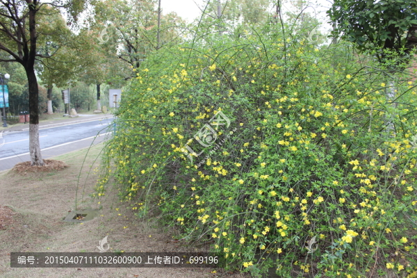 春天的小區(qū)