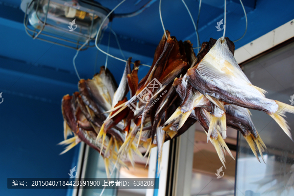 船甲上的咸魚(yú)