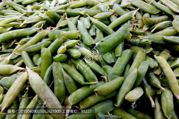 蠶豆角豌豆角