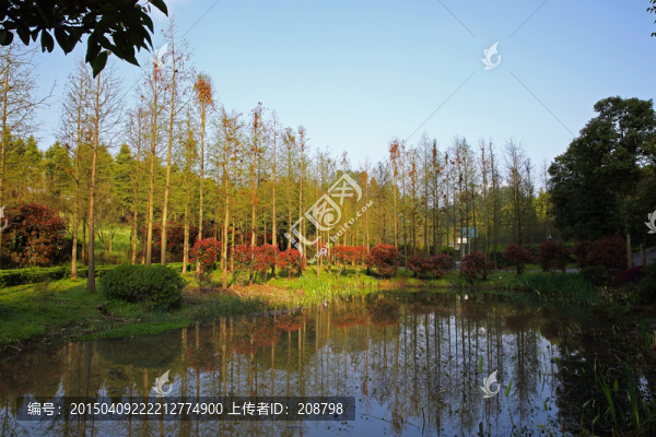 濕地公園