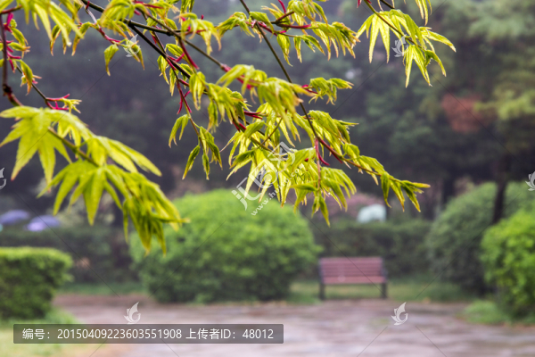 交大西花園即景