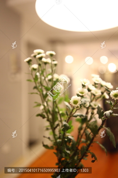 花卉