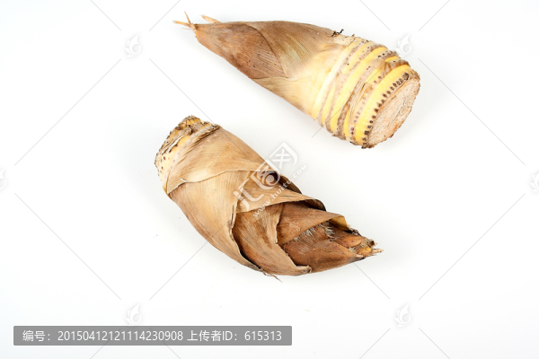 冬筍