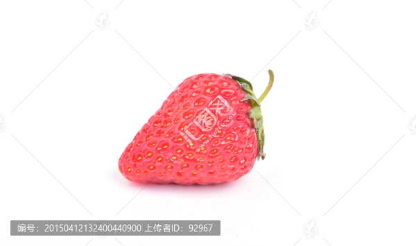 九九草莓
