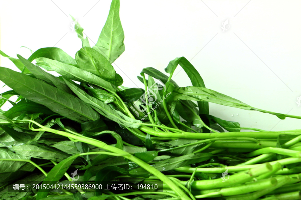 桿徑綠色蔬菜