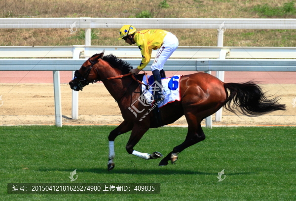 賽馬