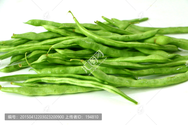 綠色有機(jī)四季豆