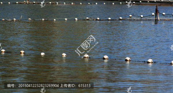 水上浮漂