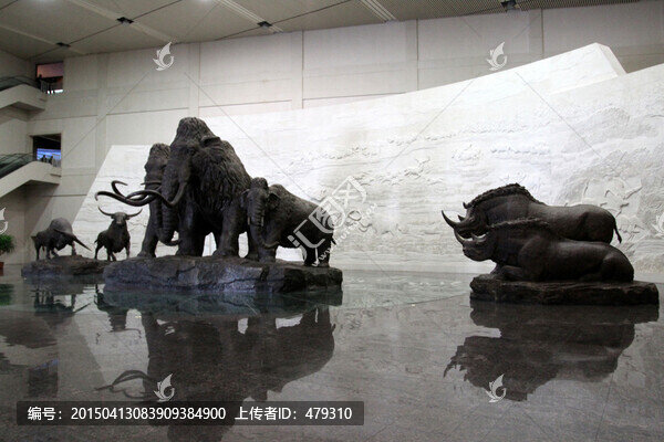 大慶,博物館,雕塑,猛犸象