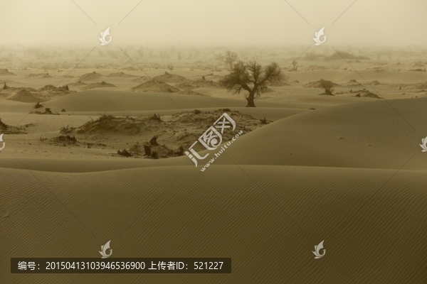 南疆和田沙漠風(fēng)景